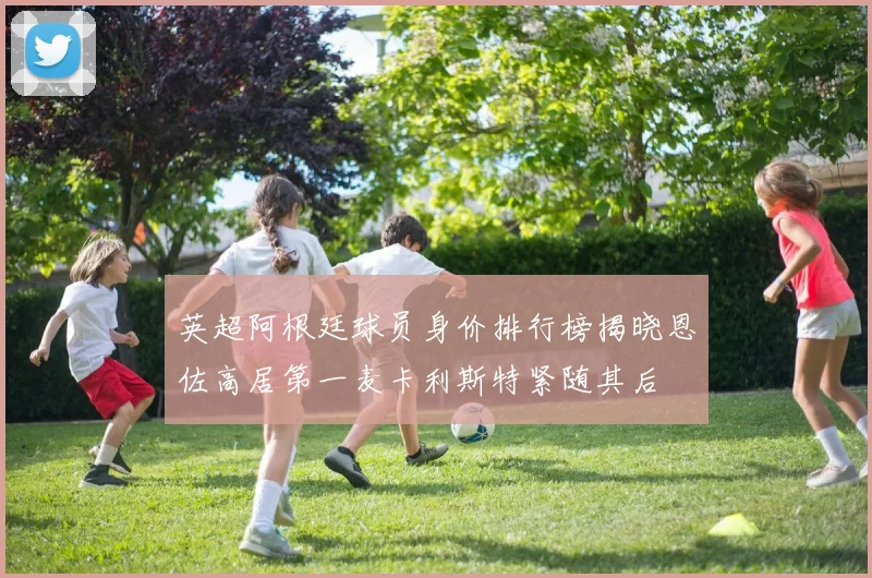 英超阿根廷球员身价排行榜揭晓恩佐高居第一麦卡利斯特紧随其后